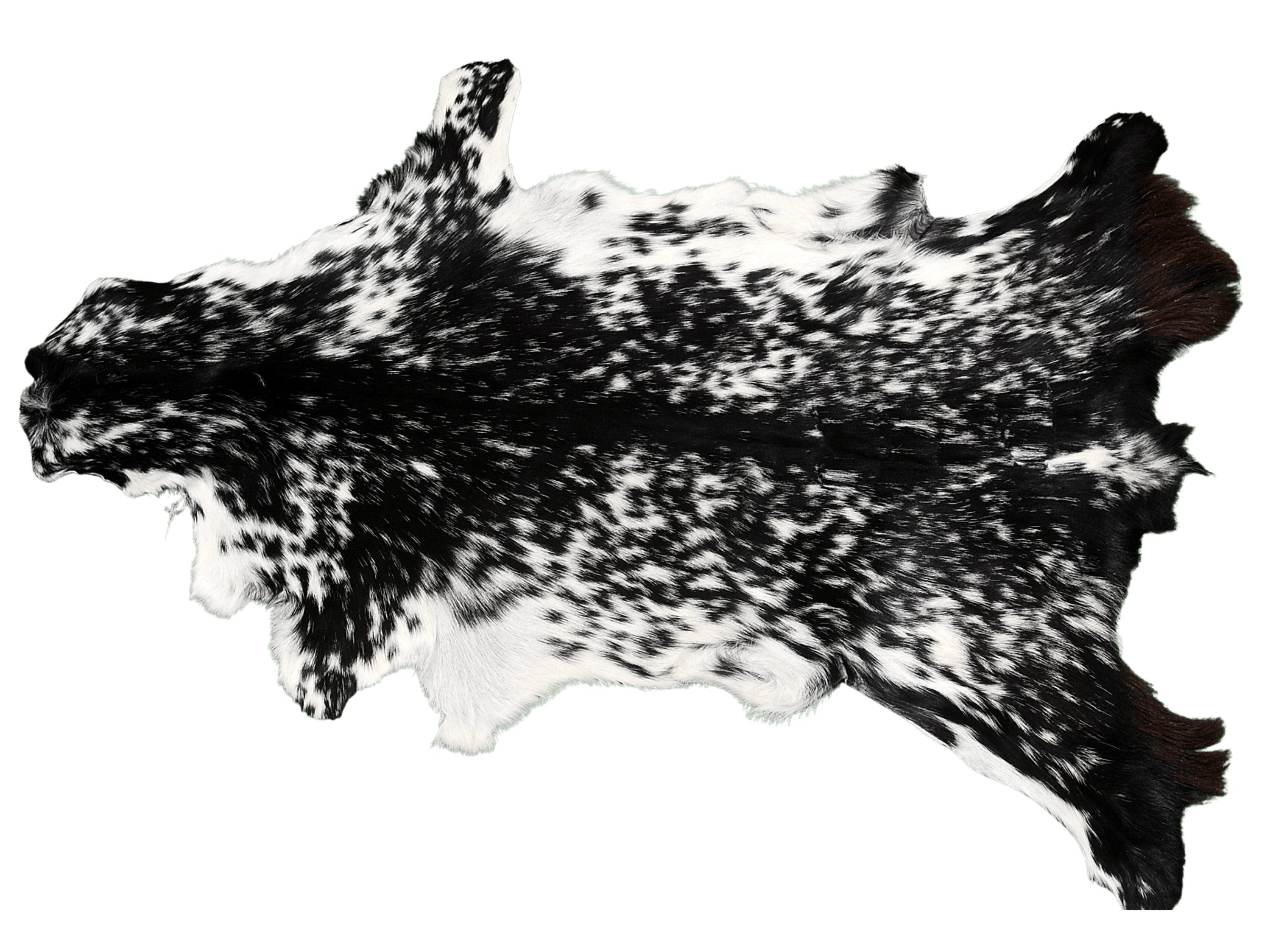 Western style authentic cowhide rug lodge decor accent