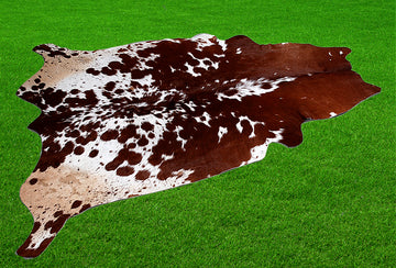 Tricolor Cow Hide Rug