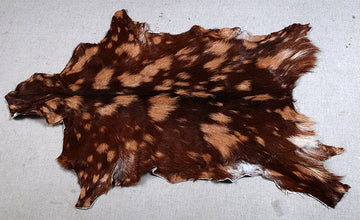 New Brown Cowhide Rug With Natural Hair