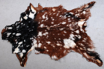 Tri-Color Brown Tone Cowhide Rug With Natural Hair