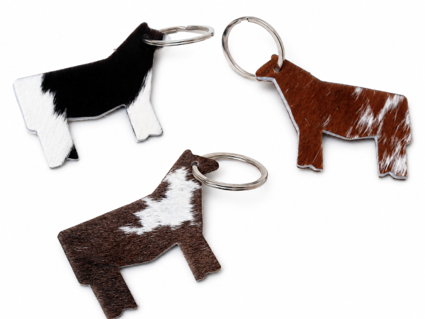 ChatGPT Image May 20, 2026, 06_33_58 PM (6) Keyring