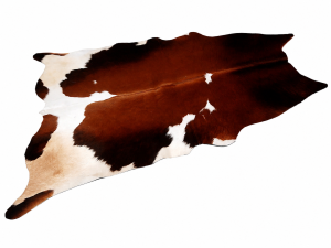 Cowhide Rugs