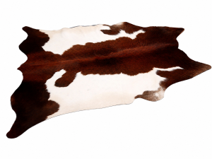 Cowhide Rugs