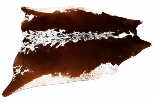 Cowhide Rug